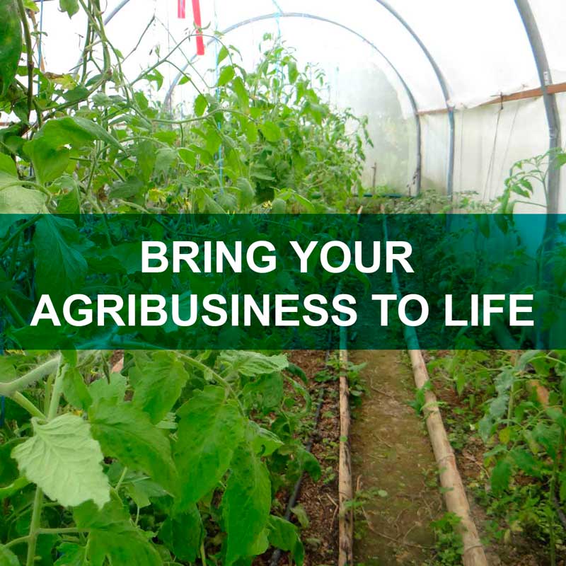 BRING YOUR AGRIBUSINESS TO LIFE